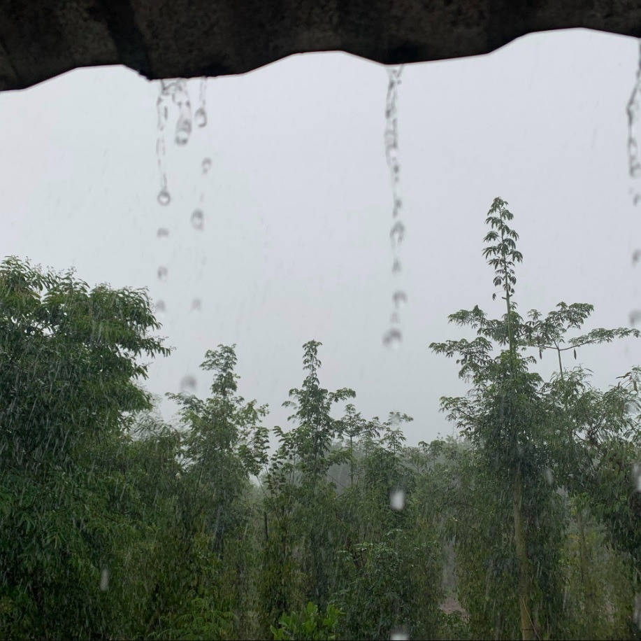 Trọng Hiếu